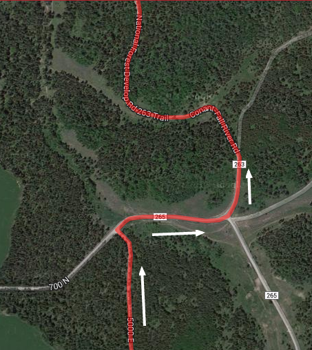 Forest Rd 263 intersection.png