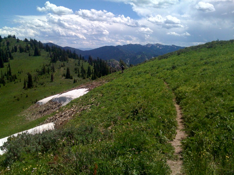 photo7