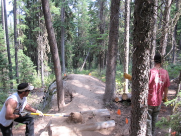 img_0072 You have to thread the needle on this one