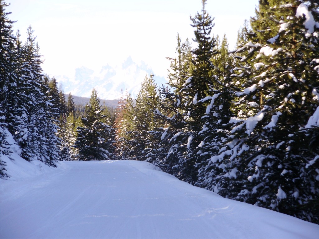 There was no shortage of firm trail or killer views