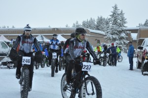 37 fat bikes