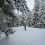 IMG_1542 Muted Colors are Just Not Visible