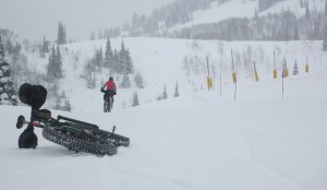 Riding fat bikes