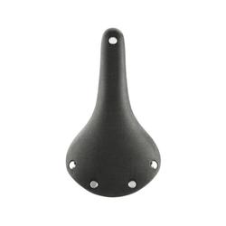 Brooks C17 Cambium