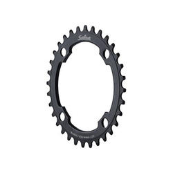 Salsa Chainring (74mm BCD)