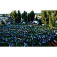 The BikeTender Bikes & Bands