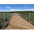The BikeTender Ashton-Tetonia Rail Trail 1/2 Day