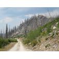 The BikeTender Tour Divide Tune-Up